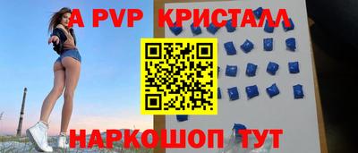 спиды Гай