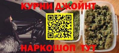 спиды Гай