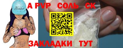спиды Гай