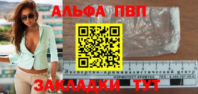 спиды Гай