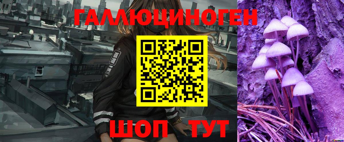 Псилоцибиновые грибы мухоморы  где купить   Алейск 