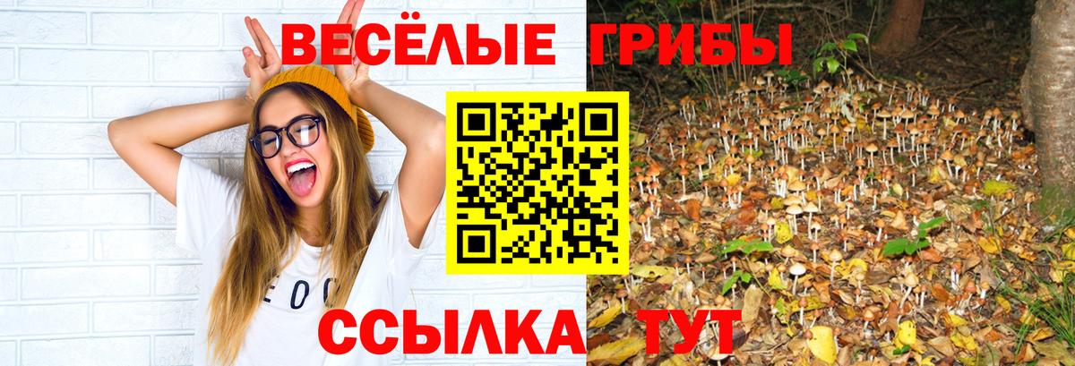 Алейск  Галлюциногенные грибы прущие грибы  Галлюциногенные грибы Cubensis  Вход с VPN 