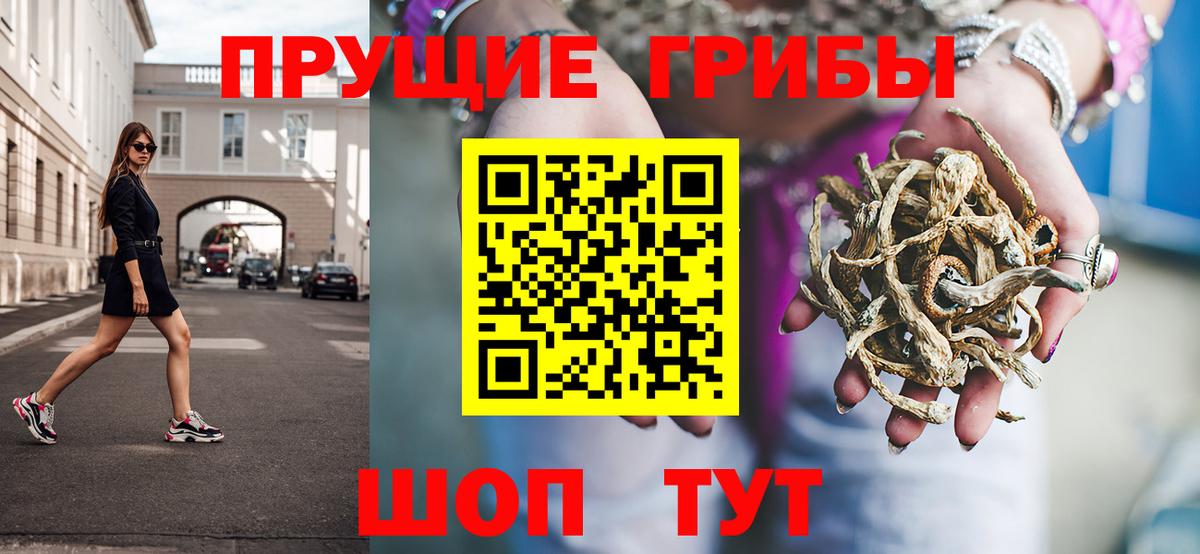 Псилоцибиновые грибы GOLDEN TEACHER Алейск