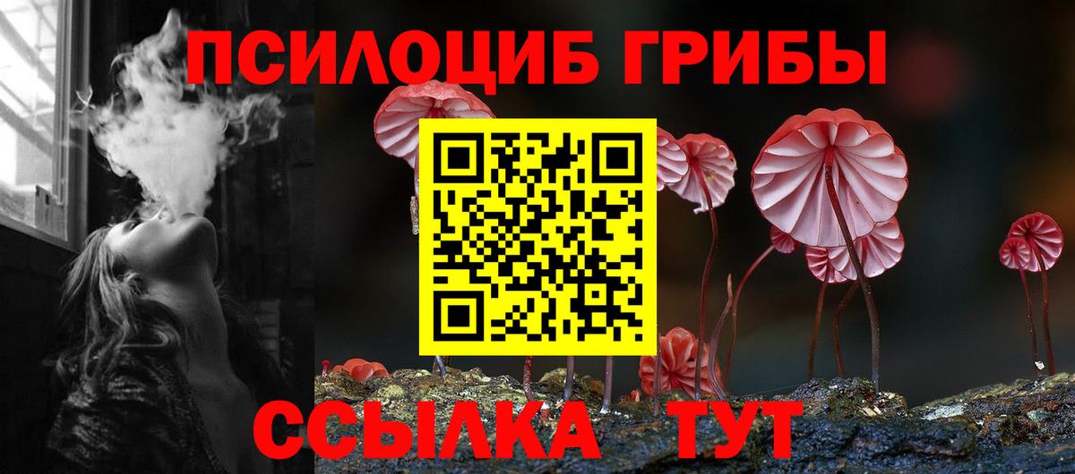 где купить наркоту  Вход с VPN  Алейск  Псилоцибиновые грибы MAGIC MUSHROOMS 