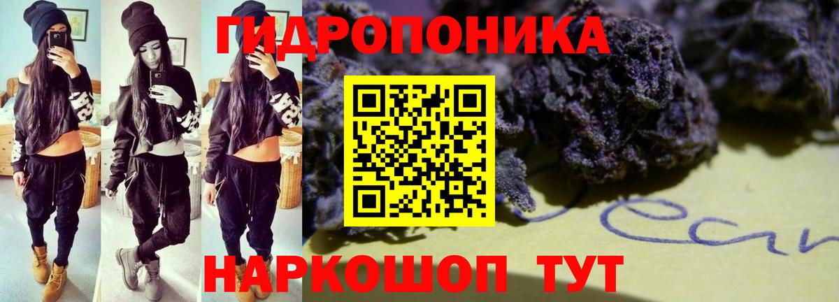 Марихуана White Widow  Вход с VPN  Бошки марихуана Ganja  МАРИХУАНА индика  Алейск 